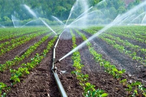 آبیاری و کوددهی خودکار با پلت فرم ایرانی مبتنی بر اینترنت اشیا