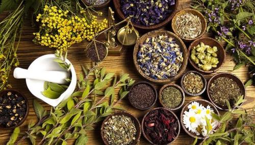 کشت گیاهان دارویی مقاوم به کم آبی توسعه می یابد