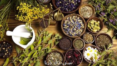 چالش های بازار ملی و جهانی گیاهان دارویی معرفی می شود