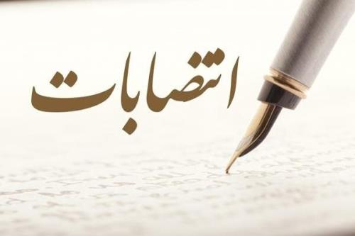 دبیر ستاد راهبری توسعه علوم و فناوری های شناختی انتخاب شد