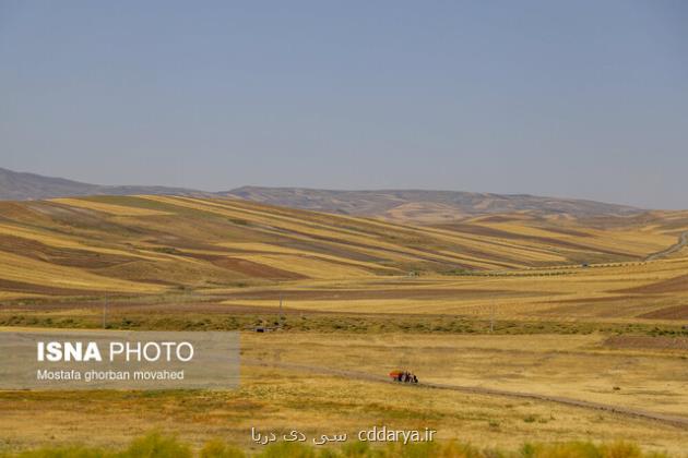 برآورد سطح زیرکشت ۳ محصول استراتژیک با فناوری فضایی