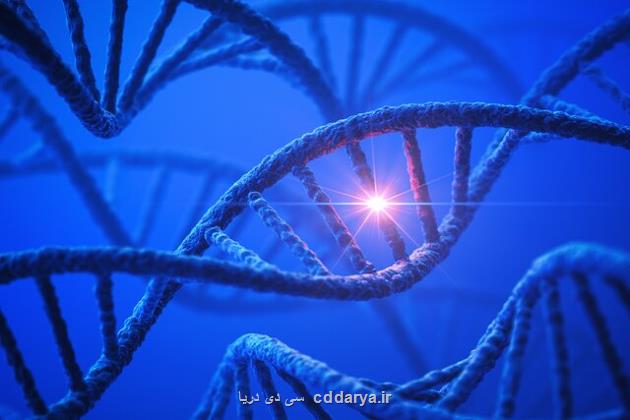 تلاش پژوهشگران برای شخصی سازی درمان یکی از بیماریهای ژنتیکی کودکان