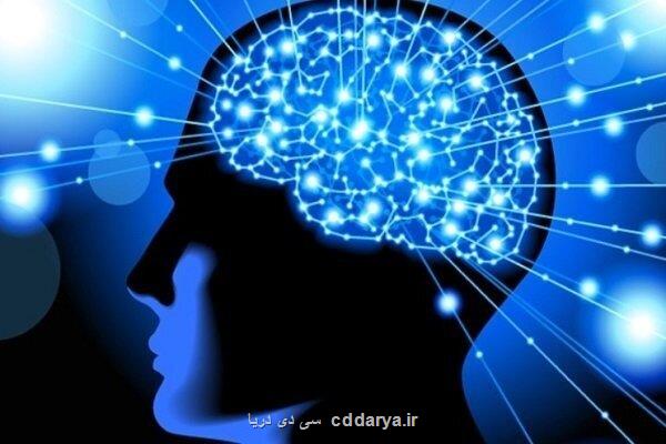 پشتیبانی از 400 طرح پژوهشی علوم شناختی در سالهای اخیر