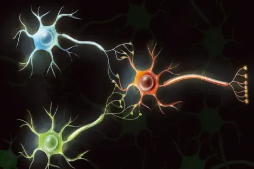 دانشمندان از سلول های مغز انسان کامپیوتر می سازند