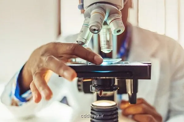 ایجاد دوره دکتری 2ساله پژوهش محور دفاع از لابراتوار تحقیقاتی اساتید