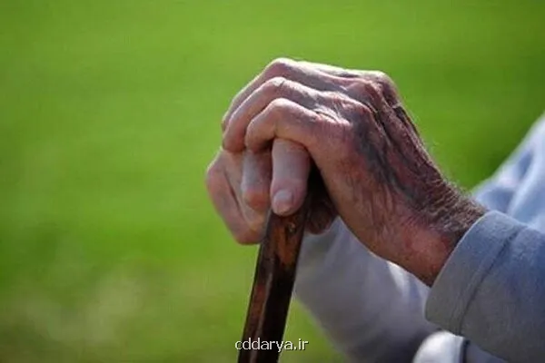 کشف آنزیمی که پیری را معکوس می کند