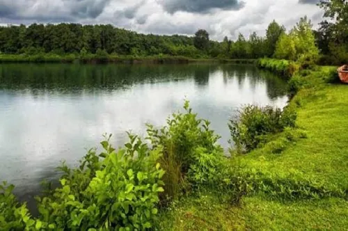 مدل سازی روابط اکوژئومورفیک در حوضه های رودخانه ای تالش