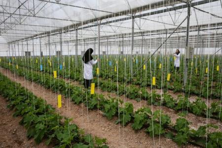 حمایت كمیسیون كشاورزی مجلس از دستاوردهای دانش بنیان