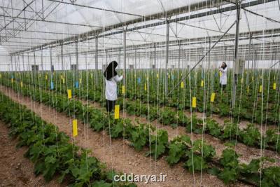حمایت كمیسیون كشاورزی مجلس از دستاوردهای دانش بنیان