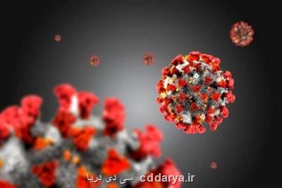 رشد انفجاری استفاده از اپلیكیشن های همراه در عصر كرونا